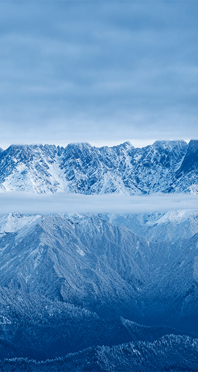 关于太阳成tyc33455cc